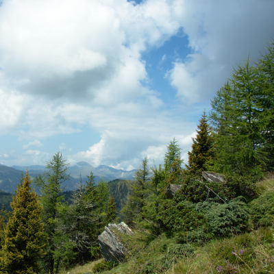 Landscape with clouds, trees and a rock in the center of the image
